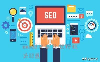 seo排名优化软件在火12星