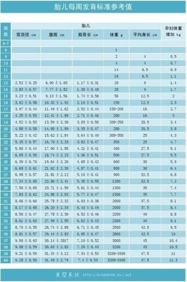 怀孕胎儿大小对照表