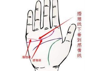 感情线和婚姻线