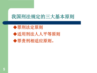 刑法适用原则