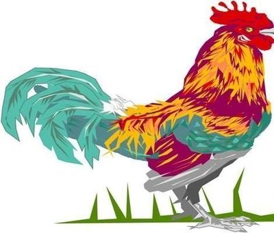 属鸡的命运如何