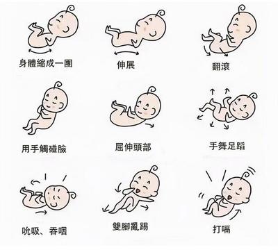 胎儿活动频繁是什么原因