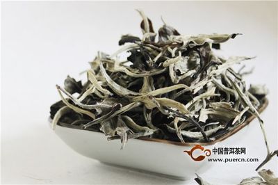 白茶属于哪类茶