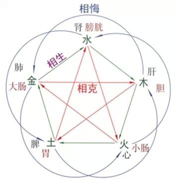 通字五行属什么