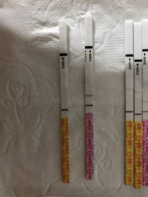 怀孕多长时间早孕试纸能测出来