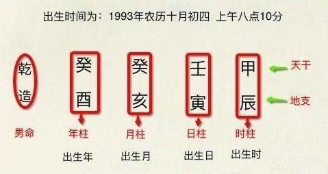 93年出生的人是什么命