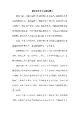 转正报告中未来计划怎么写