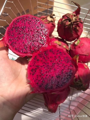 宝宝6个月可以吃火龙果吗