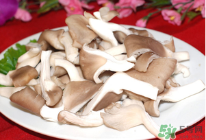 孕妇能吃平菇吗