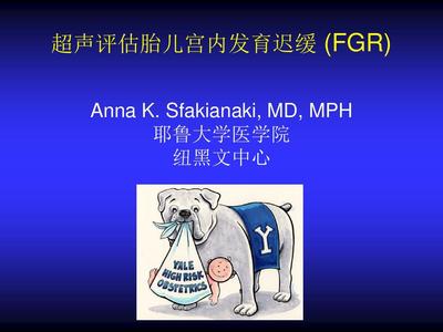 fgr胎儿