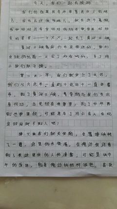 有关物的500字小学作文怎么写