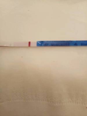 一个月来两次月经会怀孕吗