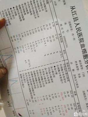 怀孕什么药都不能吃吗