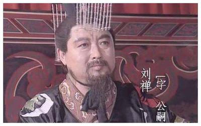 后世怎么评价刘婵
