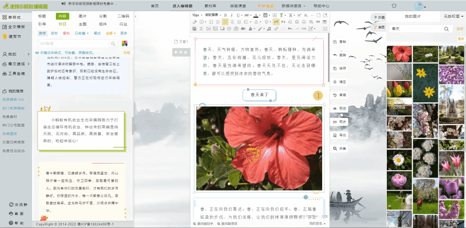 蚂蚁编辑