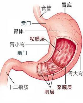 胃感觉累是怎么回事