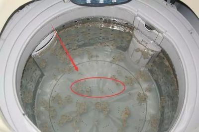 洗衣机有臭味
