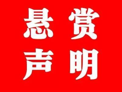 紅龍魚怎么飼養(yǎng)的視頻（紅龍魚怎么飼養(yǎng)的視頻教程）