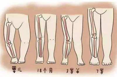 正常宝宝的肋骨图片