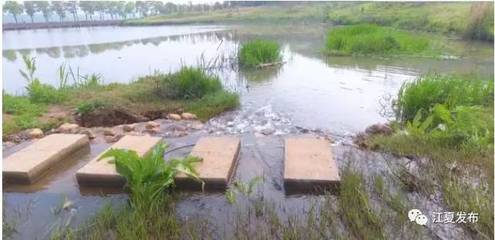 藏龙岛国家湿地公园