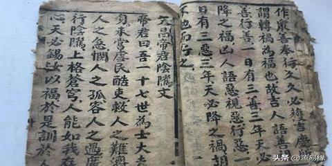 如何看八字有文曲星