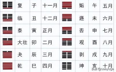 五月是什么生肖月