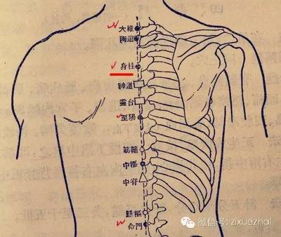 咳嗽艾灸什么穴位