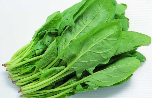 孕妇多吃菠菜好吗