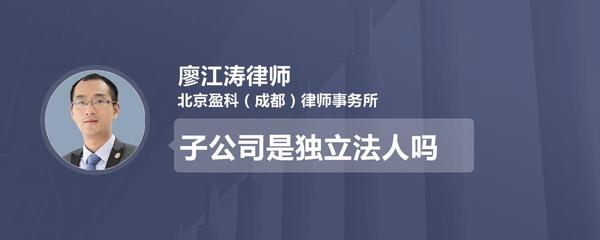 子公司是独立法人吗