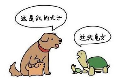 英文单词网名
