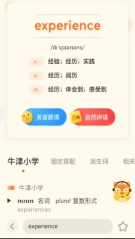 experience怎的读