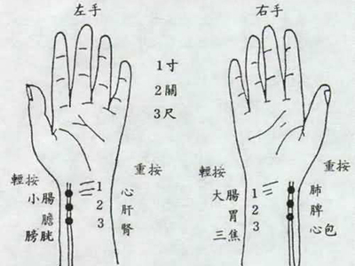 怀孕脉象图解