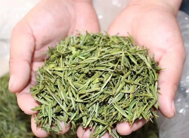 有名的白茶
