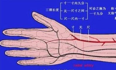 怀孕脉象图解