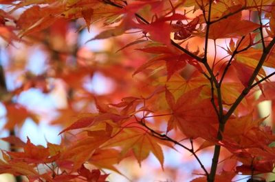 10月中旬属于什么季节