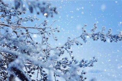 梦见大雪纷飞周公解梦