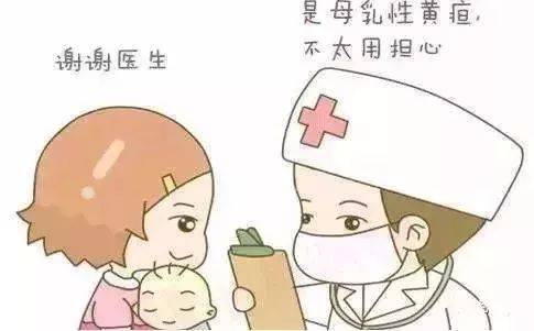 母乳停多少小时黄疸能好