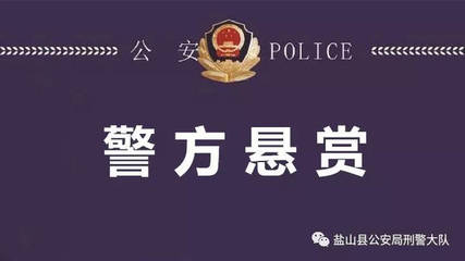 重大刑事案件是指什么