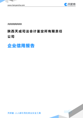 司法会计鉴定报告