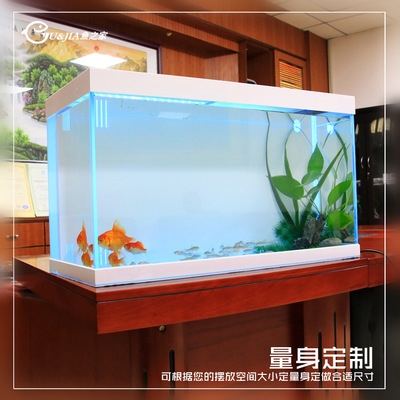 地圖魚可以和什么魚混養(yǎng)（地圖魚可以和什么魚混養(yǎng)不會(huì)打架）