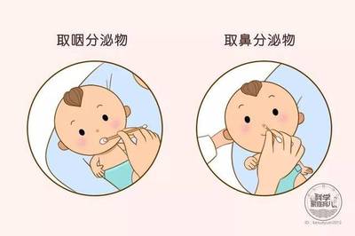 宝宝细菌感染和病毒感染的区别