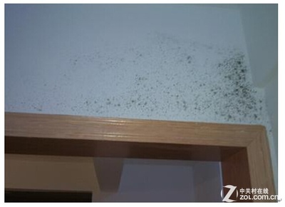 家具受潮发霉怎么处理