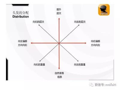 发型设计理论