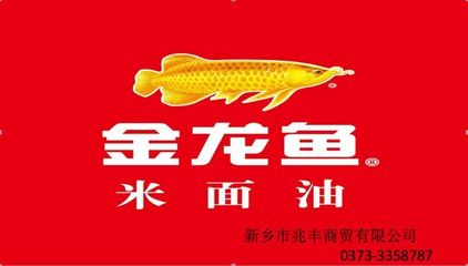 即墨二手魚缸市場在哪里(即墨魚缸批發(fā)市場) 金龍福龍魚