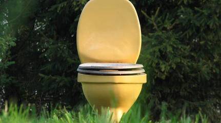 屎沾马桶