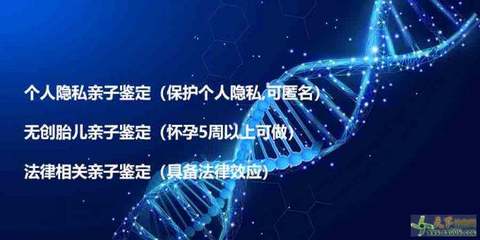 哪里可做亲子鉴定