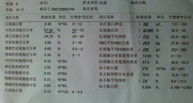 10个月宝宝体温多少正常