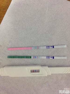 试纸双杠一定怀孕吗