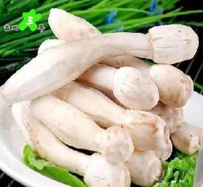 孕妇能吃平菇吗