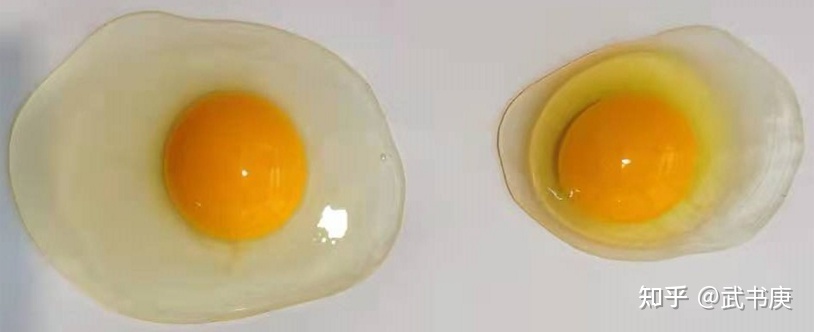 鸡蛋蛋清比较稀是什么原因
